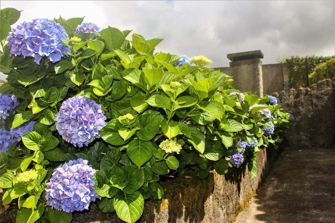 Casa Inti / Inti House Furnas Alojamento de Acomodação e Pequeno-almoço Furnas (Azores)